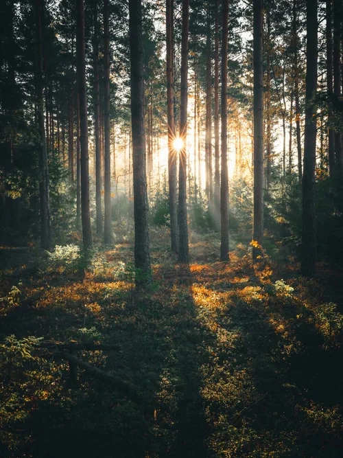 Air Pixels Nordic Presets by Tobias Hägg — preview 4