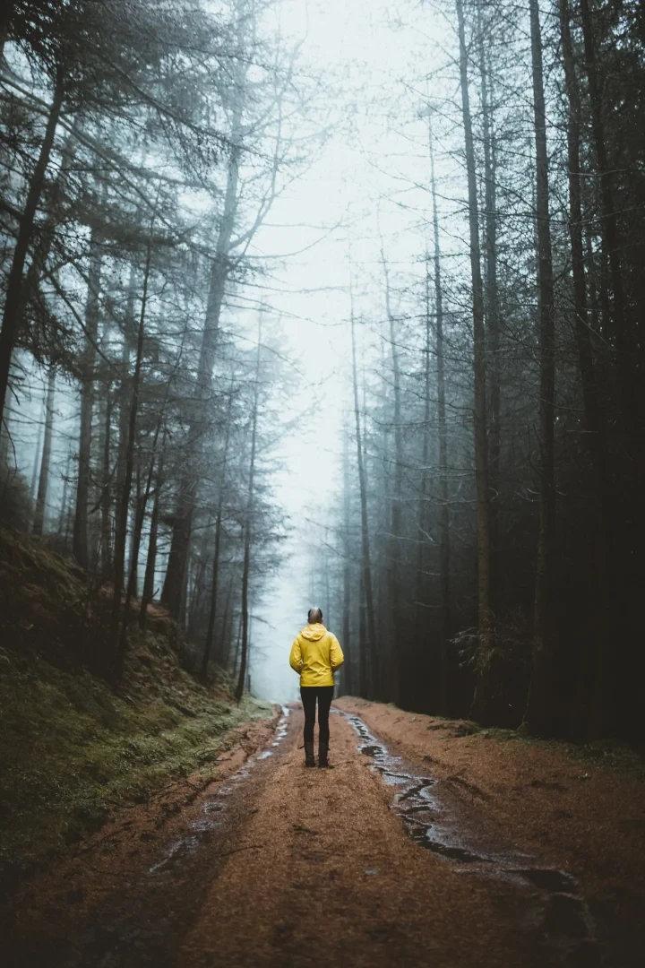 Fog Preset – Tom Kahler — preview 1