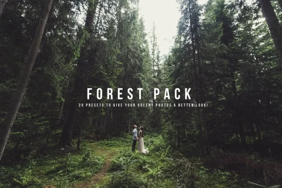 Forest Presets by K1 Production