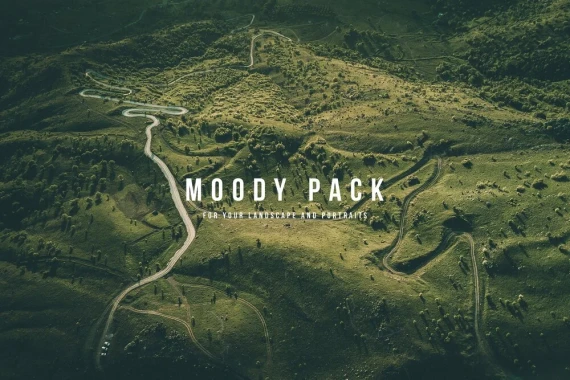 Moody Forest & Vintage Presets – K1 Production
